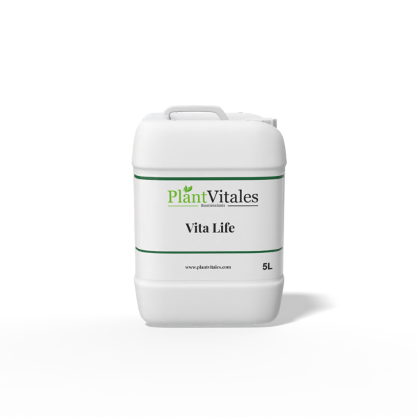 Plant Vitales – Vita Life