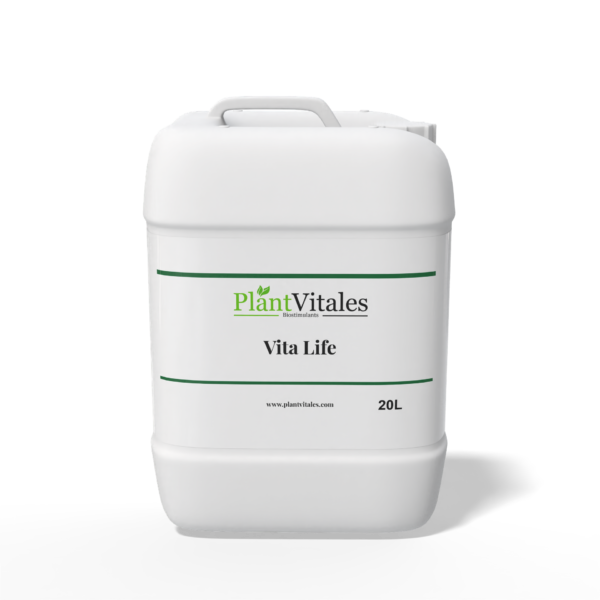 Plant Vitales – Vita Life